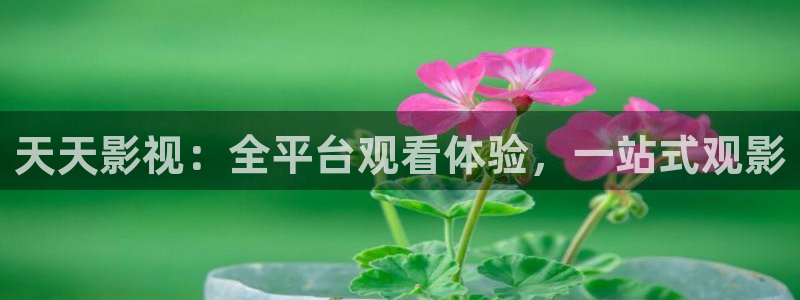 奇优影院手机极速：天天影视：全平台观看体验，一站式观影